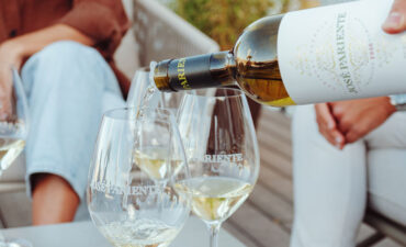 jose-pariente-cata cover